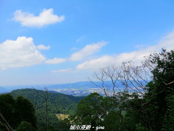 【新北。土城】景色開闊。 小百岳集起來。 編號18小百岳~天上山步道1487751