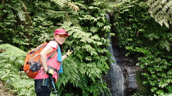 (姨婆趴趴走)第十四集:新竹關西油井窩山、彩和山、高甫山縱走2206437