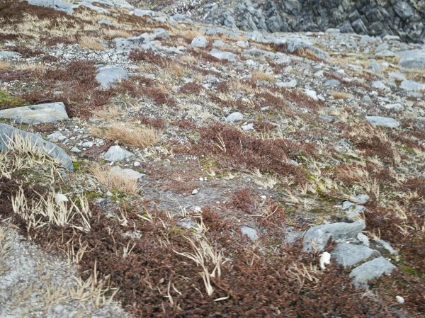 [紐約馬之行-47] 2025_1108 努克環狀步道 4/52951473