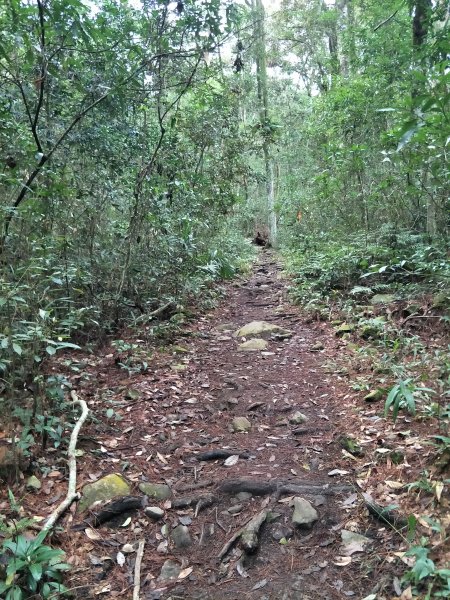 谷關七雄：馬崙山1530422