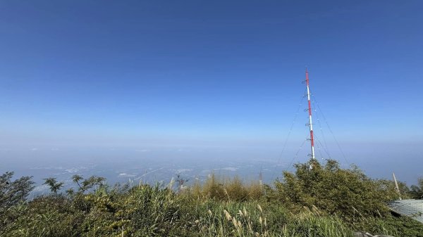 20250124小百岳 梨仔腳山及大尖山2703387