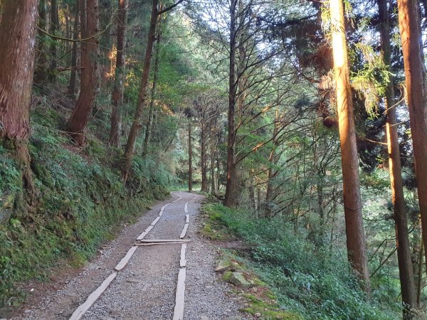 特富野古道1303972