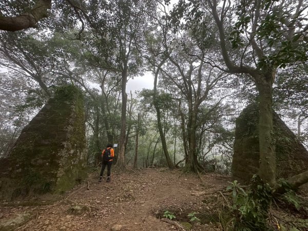 20260118五四縱走2984058