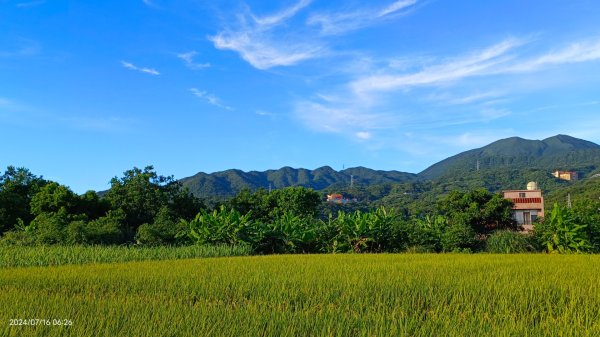 雲山水花鳥蝶 - 天龍國阿伯的日常7/162551887