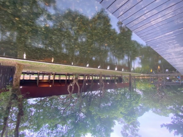 霄裡好風光2833544