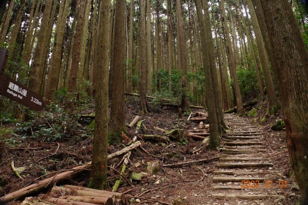 苗栗 南庄 加里山1979955