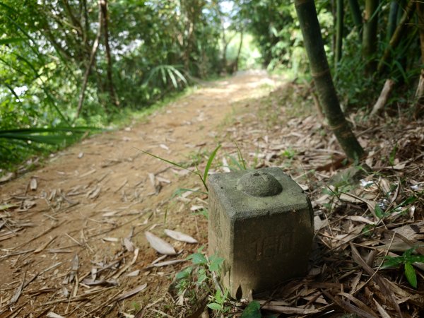 [淡蘭古道] 2026_0523 南路第一段_土地公嶺古道3069445