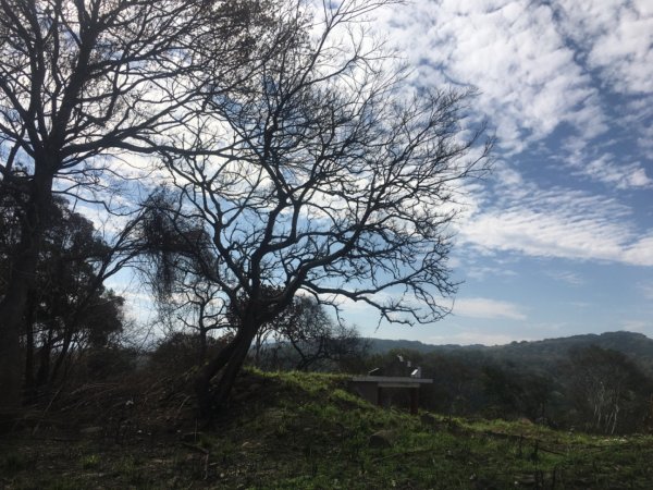 仙山（靈洞宮、協靈宮2723182