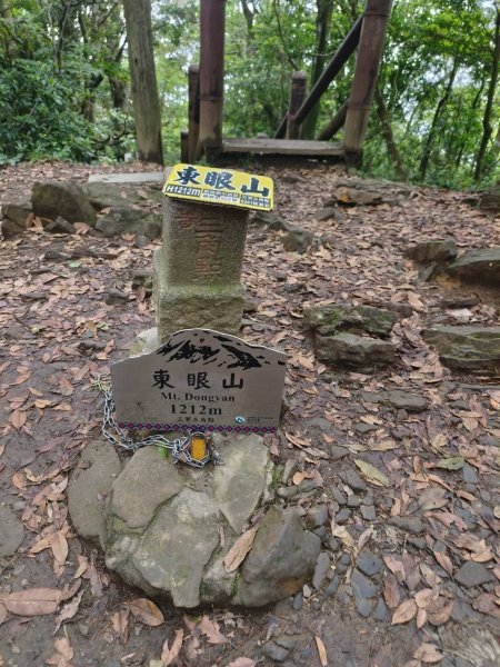 桃園市-東眼山3053948