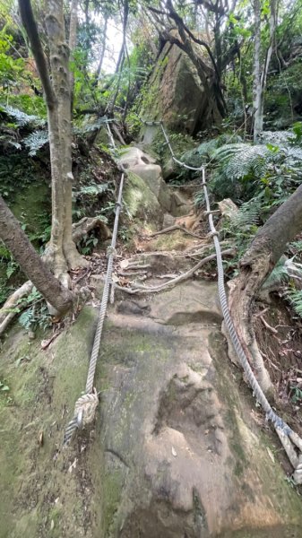 銀河洞越嶺貓空-新高麗坑山-銀獅縱走-猴山岳群峰+三條魚縱走2765326