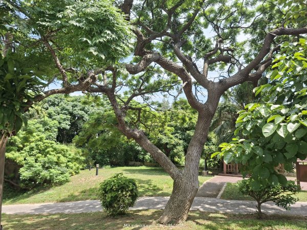 《桃園》百年燈塔｜白沙岬燈塔園區步道202607253090872
