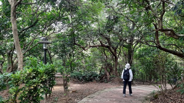 《新竹》城市微旅｜十八尖山+香山濕地賞蟹步道202511012928405