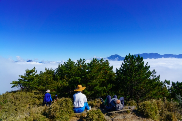 【步道小旅行】郡大山2059