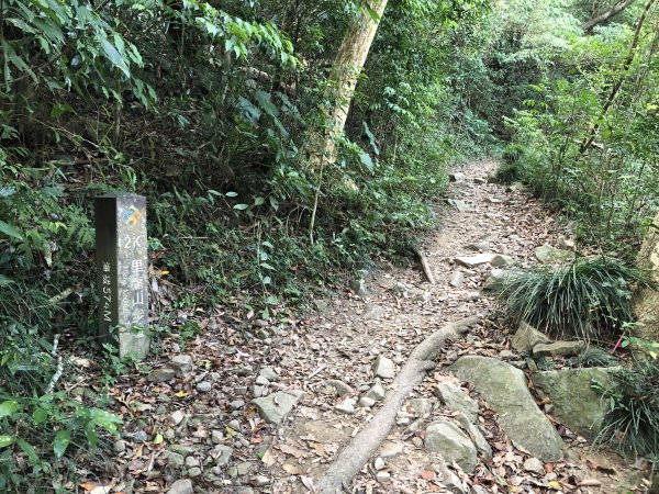 台灣小百岳No.080 里龍山908204