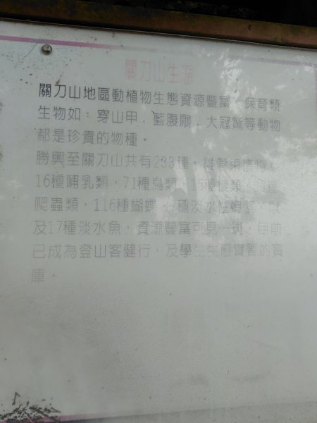 苗栗關刀山2975071