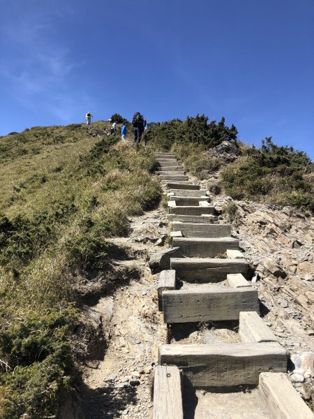 合歡百岳(東峰+石門山)賞杜鵑2131571