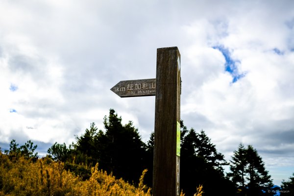 [冬訪大霸聖山岳參行]-榮耀桂冠B'bu' Papak聖稜精選輯2974844