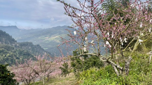 202202-馬拉邦山+東眼山+仙山+關刀山1611073