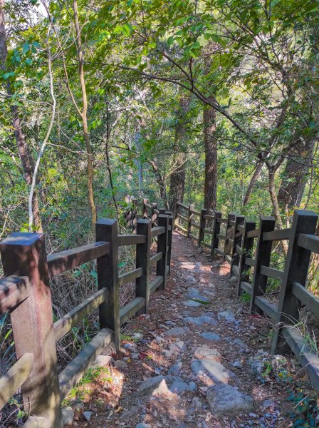 波津加山/谷關七雄老四1638609