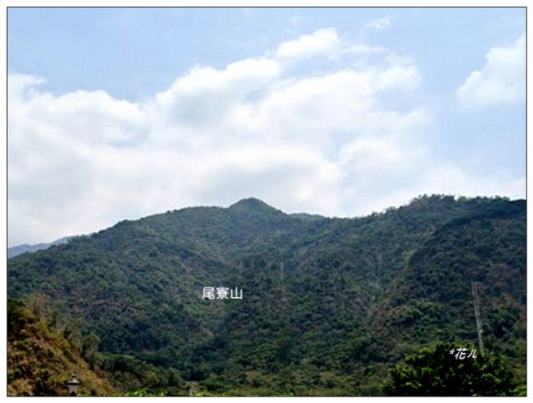 尾寮山、前峰、西峰、西北峰、主峰13基石連走3031932