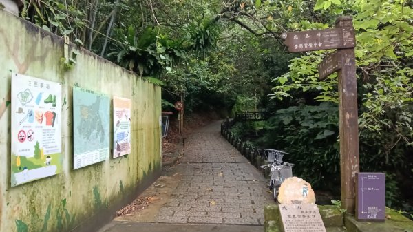信義區虎山溪步道-岩刻佛像岩下路-四獸山步道-拇指山-南港山-九五峰-麗山橋口步道3076159