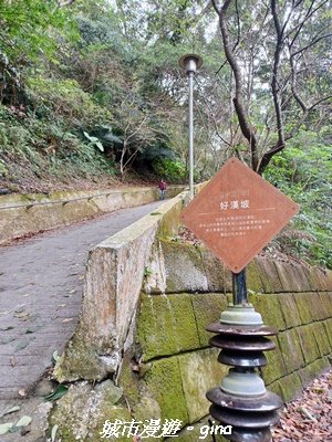 【南投仁愛】武界部落采風2972893