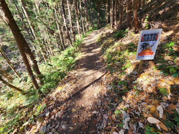 20251123秘境車站峠駅與垂水遺跡2957765