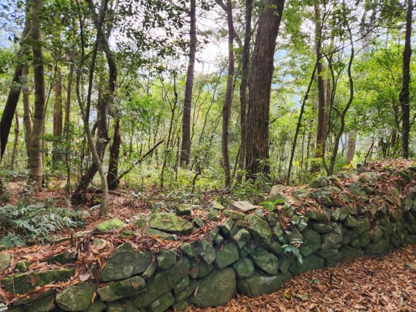 【中級山】芝生毛台山，芝生毛台山西峰，秀巒軍艦岩，屯野生步道，屯野生砲台2745144