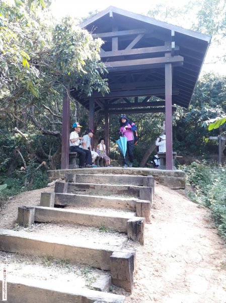 台中太平三汀山登山步道20181021439419