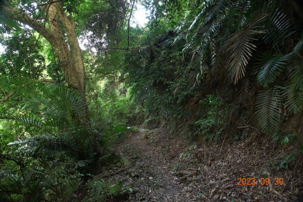 苗栗 大湖 玉女山、金童山、汶水山2301464