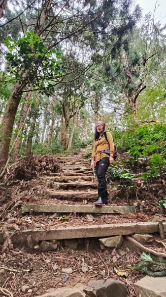 肥大醜三崠連走，鳶嘴西陵上鳶嘴山2650324