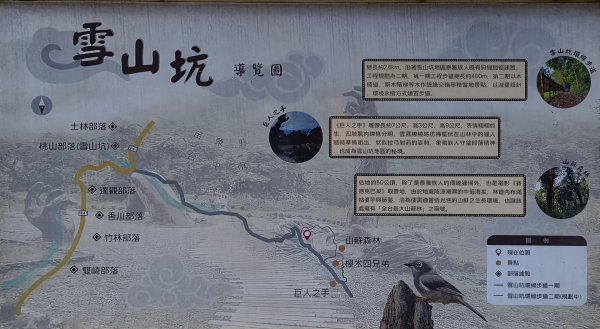 2026/01/01_雪山坑環線步道O型2978085