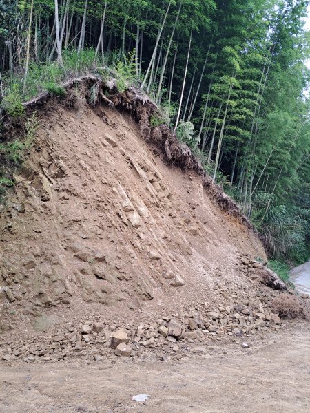 鹿谷小半天七連峰O型走2232575