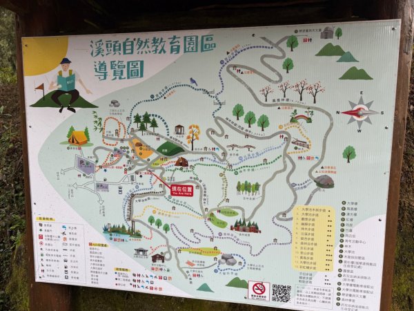 1150301溪頭天文台步道3008359