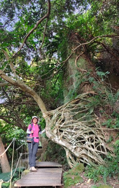 新店碧潭輕鬆走2992000