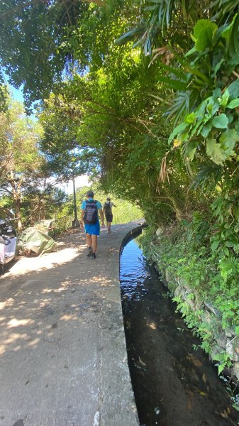 《陽明山秘境健行｜翠峰瀑布 × 天母古道 夏日涼爽路線》2852205