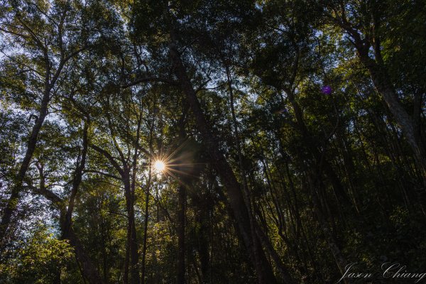 谷關七雄_八仙山2679613