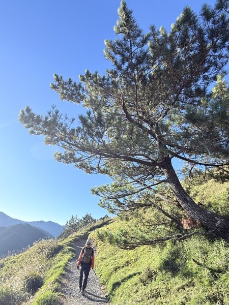 合歡東峰散步趣  2025.10.152923051