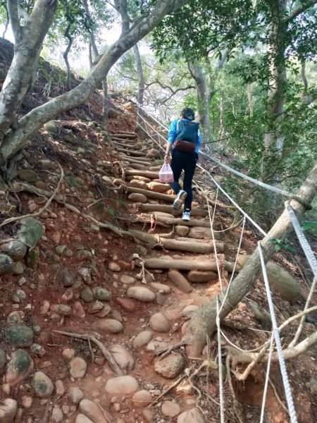 火炎山一日遊798011