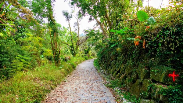 華山小天梯,情人橋2948571