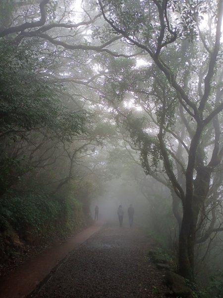 【臺北大縱走 1】二子坪→面天山→清天宮1274575