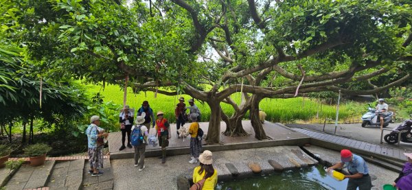 霄裡好風光2839980