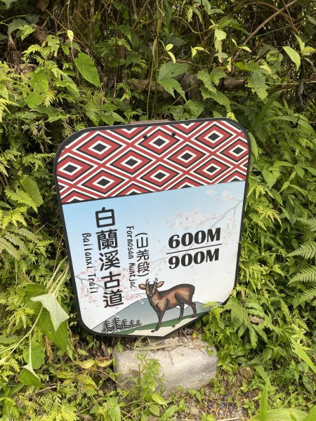 20250705-Ep.02白蘭溪古道-2025森遊竹縣皮皮獅探險隊2851387