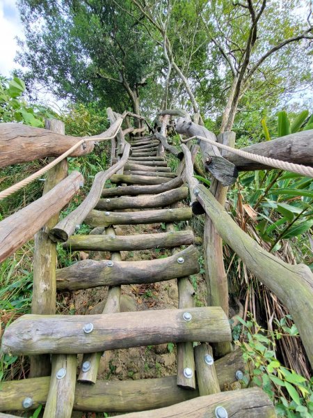 台中大坑頭嵙山697993