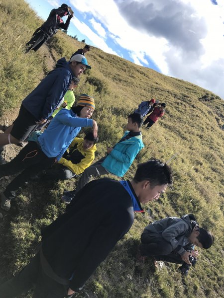 雪山 不下雪533041