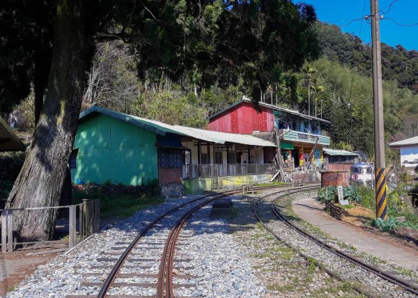 步道巡訪員│四大天王山步道二月巡訪日誌820776