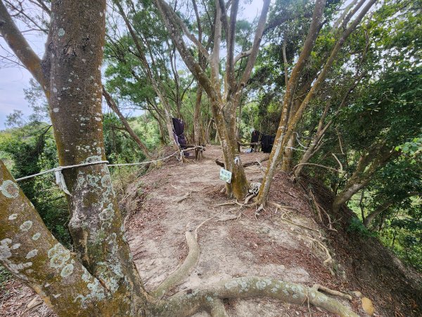 20250223田中大小劍與橫山2939831