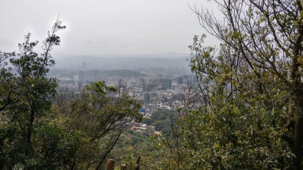 內湖金面山步道890432