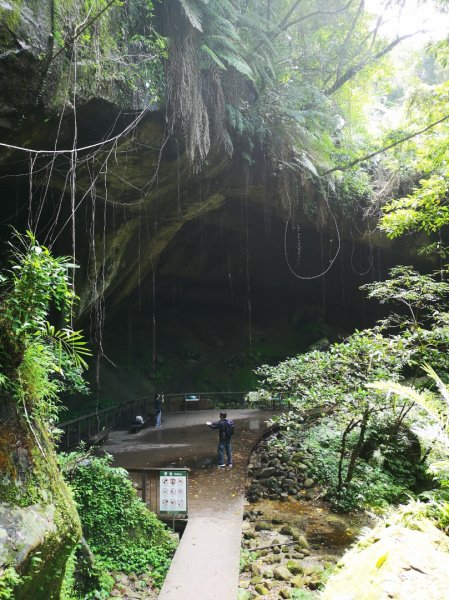 三民蝙蝠洞915611