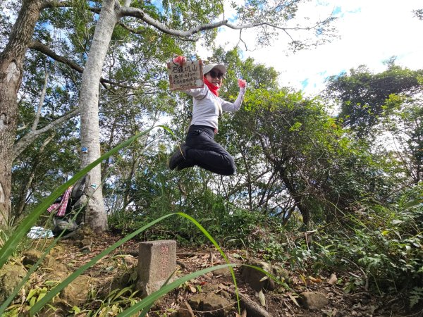 20251229石龜坑山上白石山下白石埤O走+阿姆坪2976678